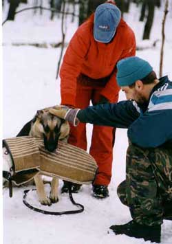 ЗКС ЗКС